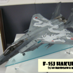 1/48 F-15J 白龍　JMC大賞